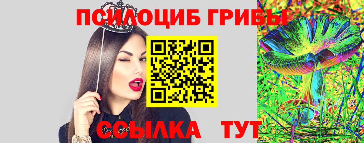 Шарыпово  Псилоцибиновые грибы MAGIC MUSHROOMS  Галлюциногенные грибы MAGIC MUSHROOMS  Вход с VPN 